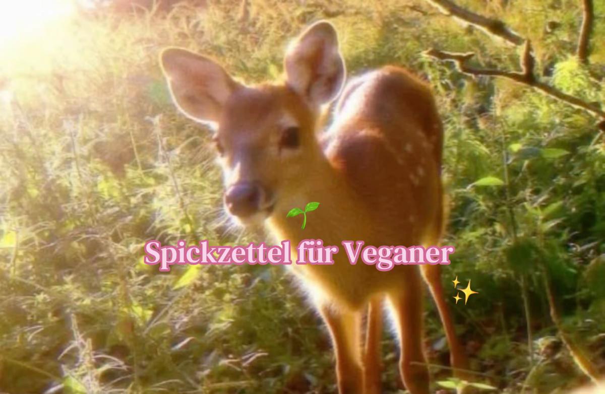 @₊˚⊹♡🧘🏼&zwj;♀️🌀🌞 ˚｡⋆౨ৎ