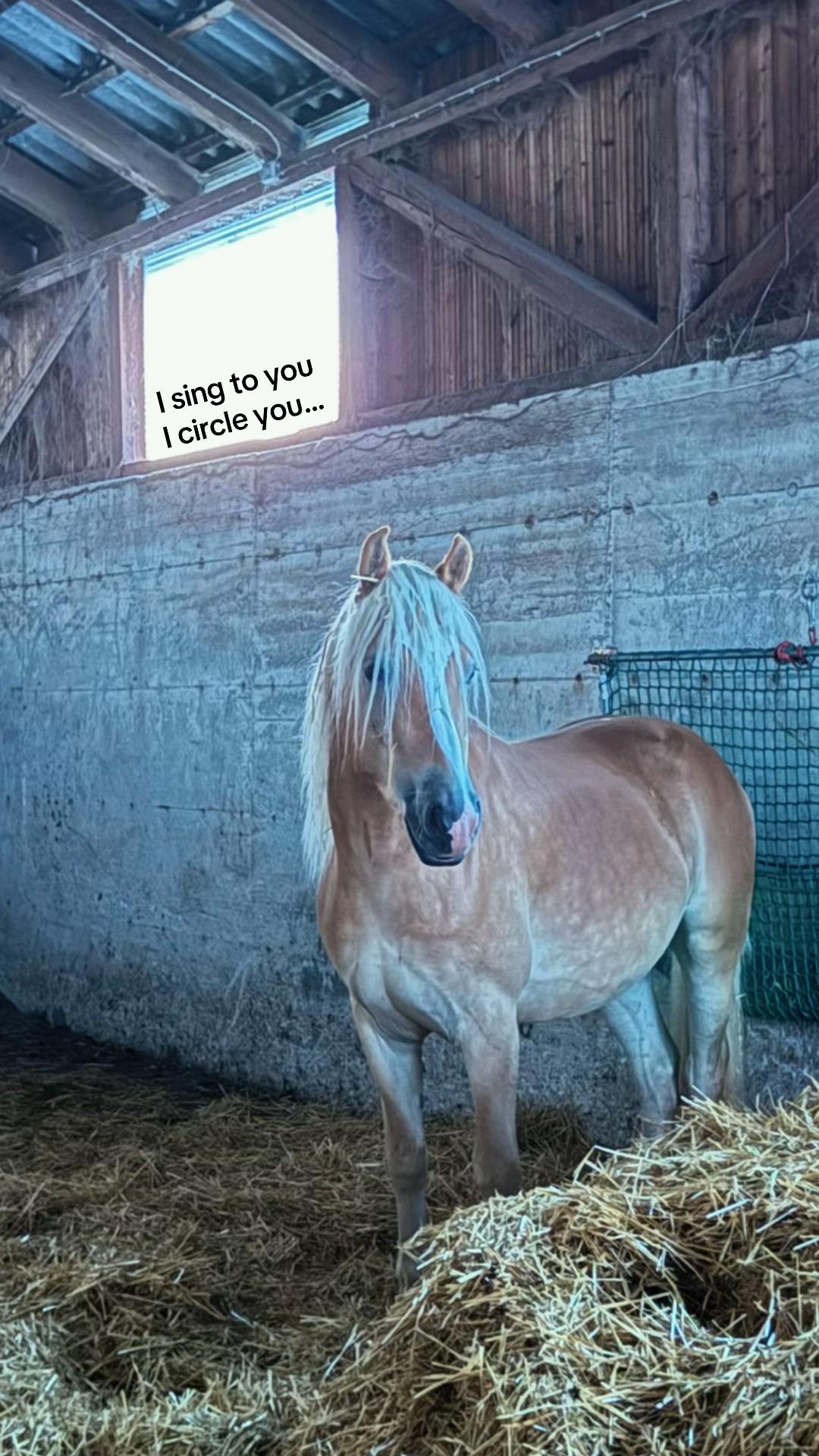 @Ronja