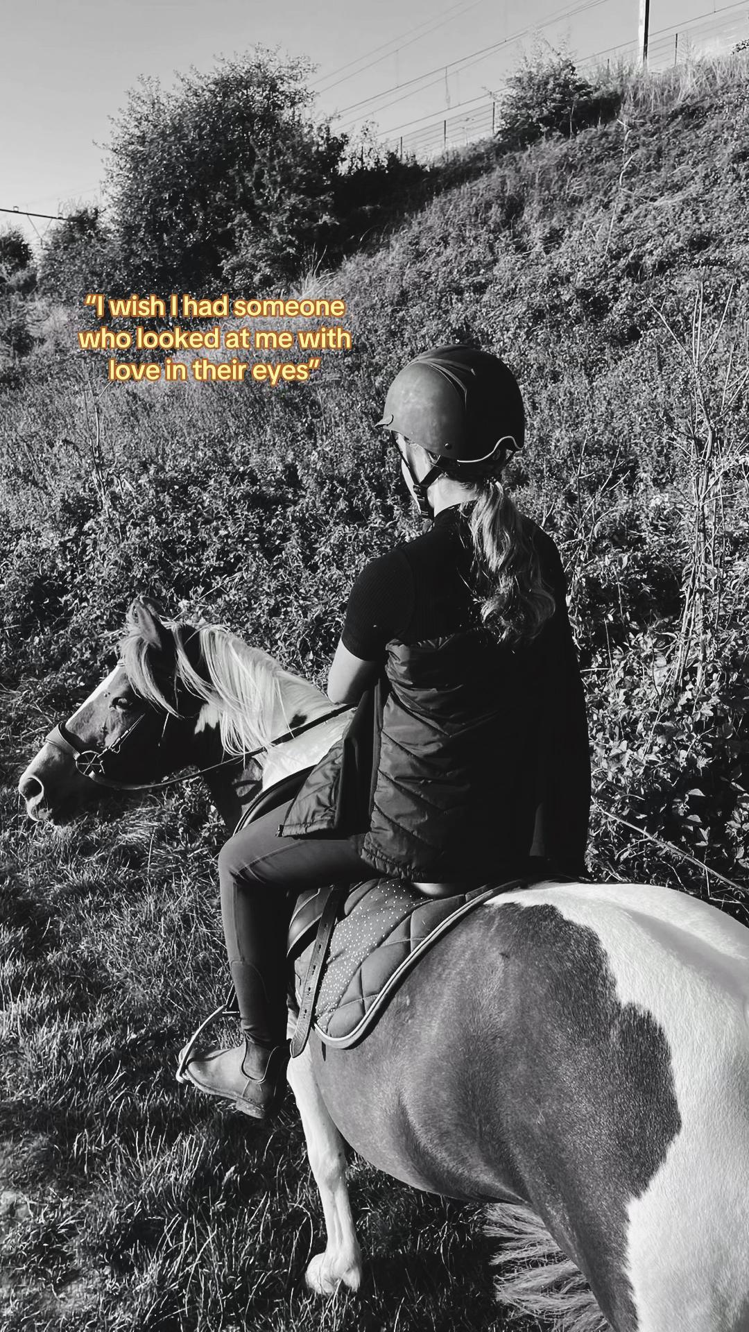 @idh_horses