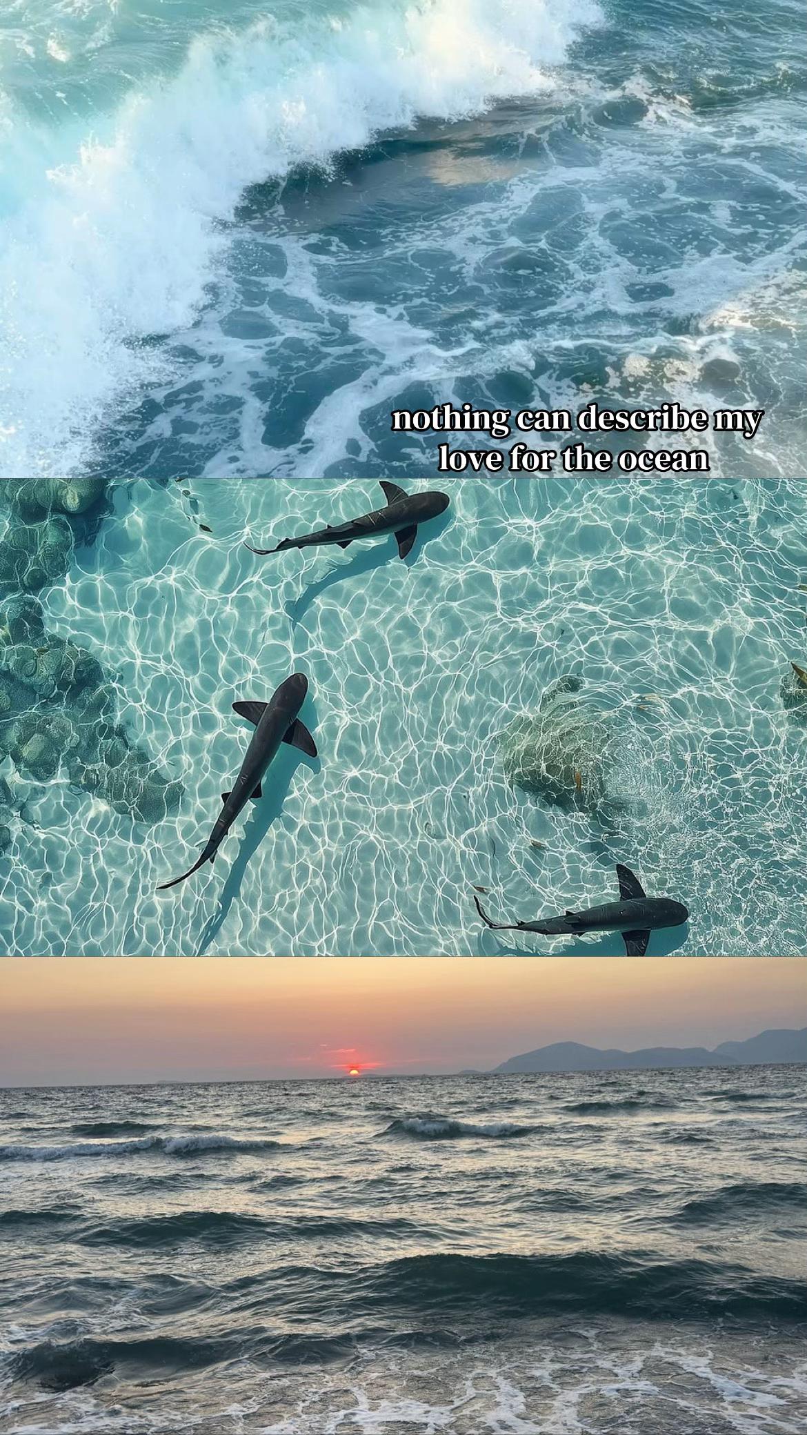 @𝒞ℯ𝓁𝒾𝓃ℯ