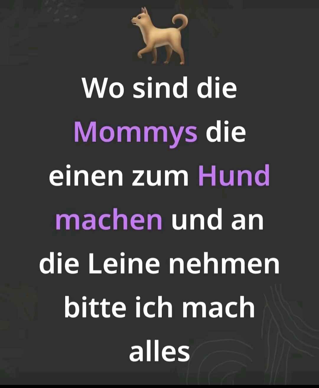 @Belle für jedes Girl 🤤🙇♂️