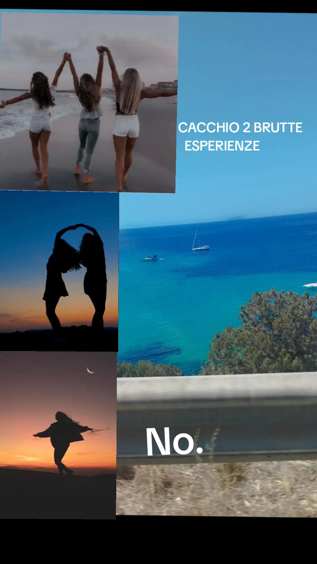 @Noetta🪸🐚