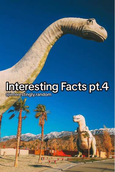 @Interestingly Random