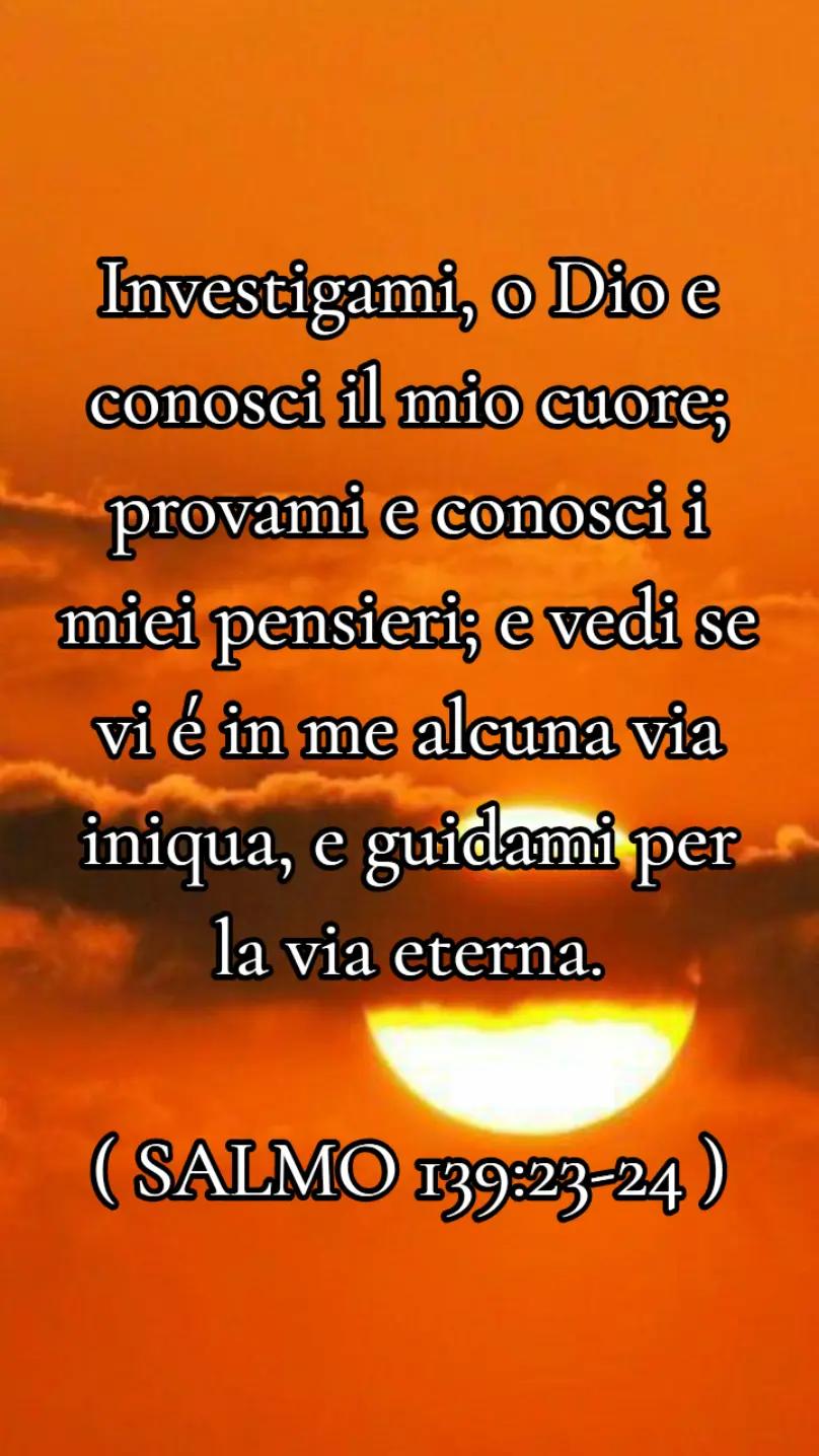 @🙏SHALOM🙏
