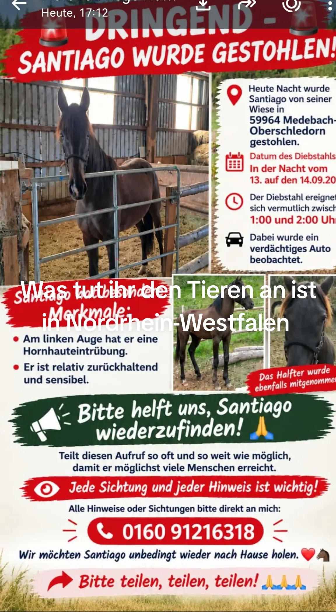 @Marita Schröder