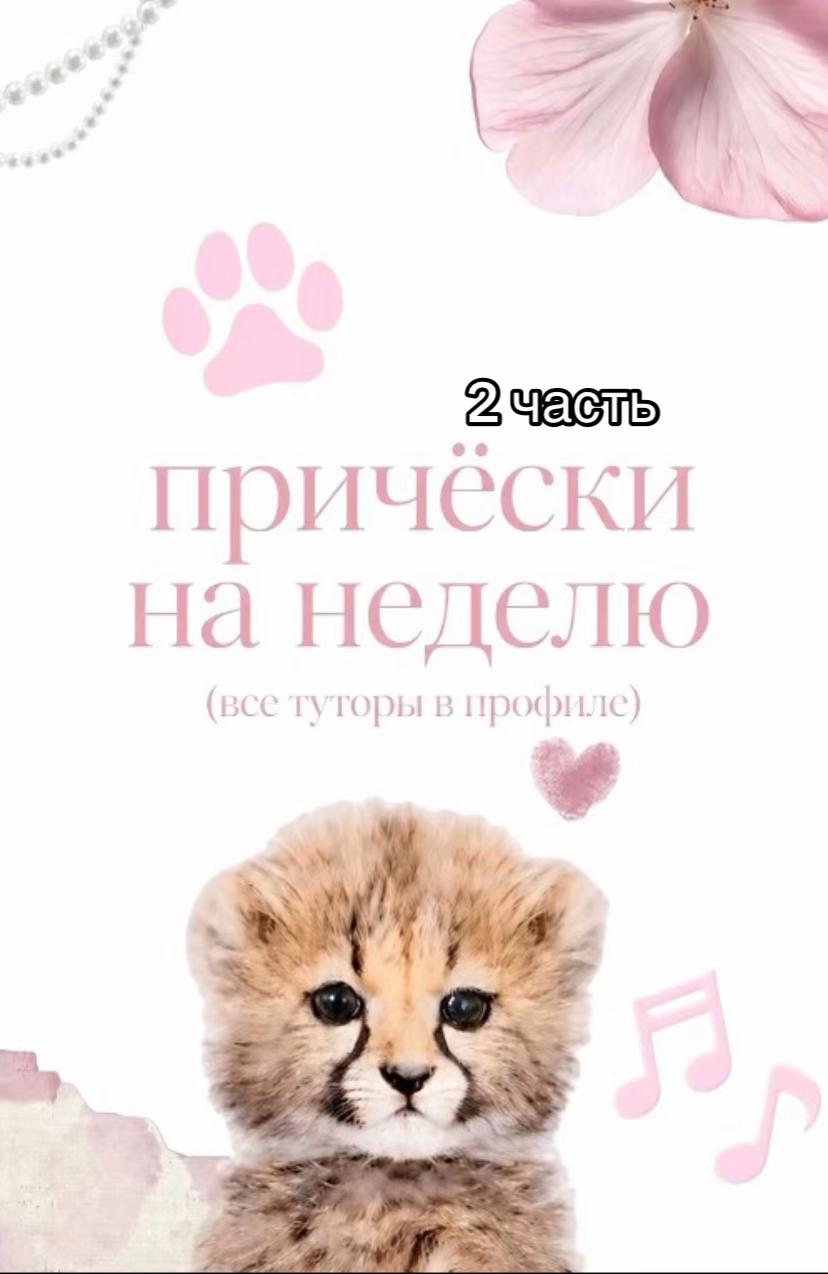 @ТГК: РУФА ТУТА🌸