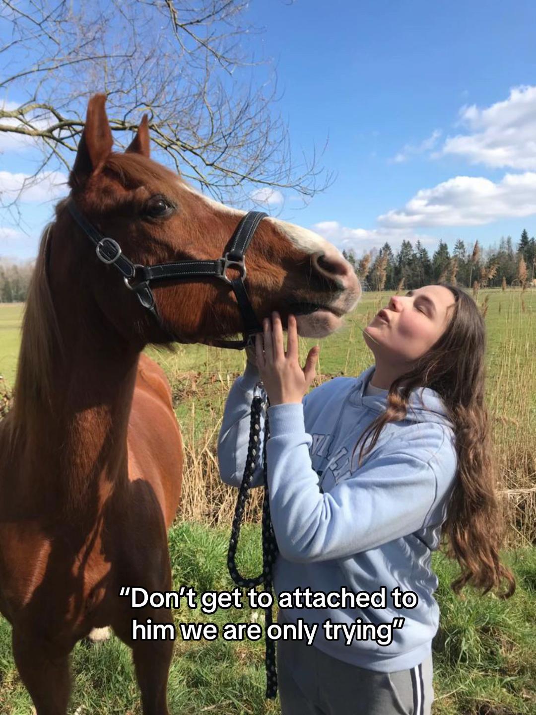 @Junior A&H🤭