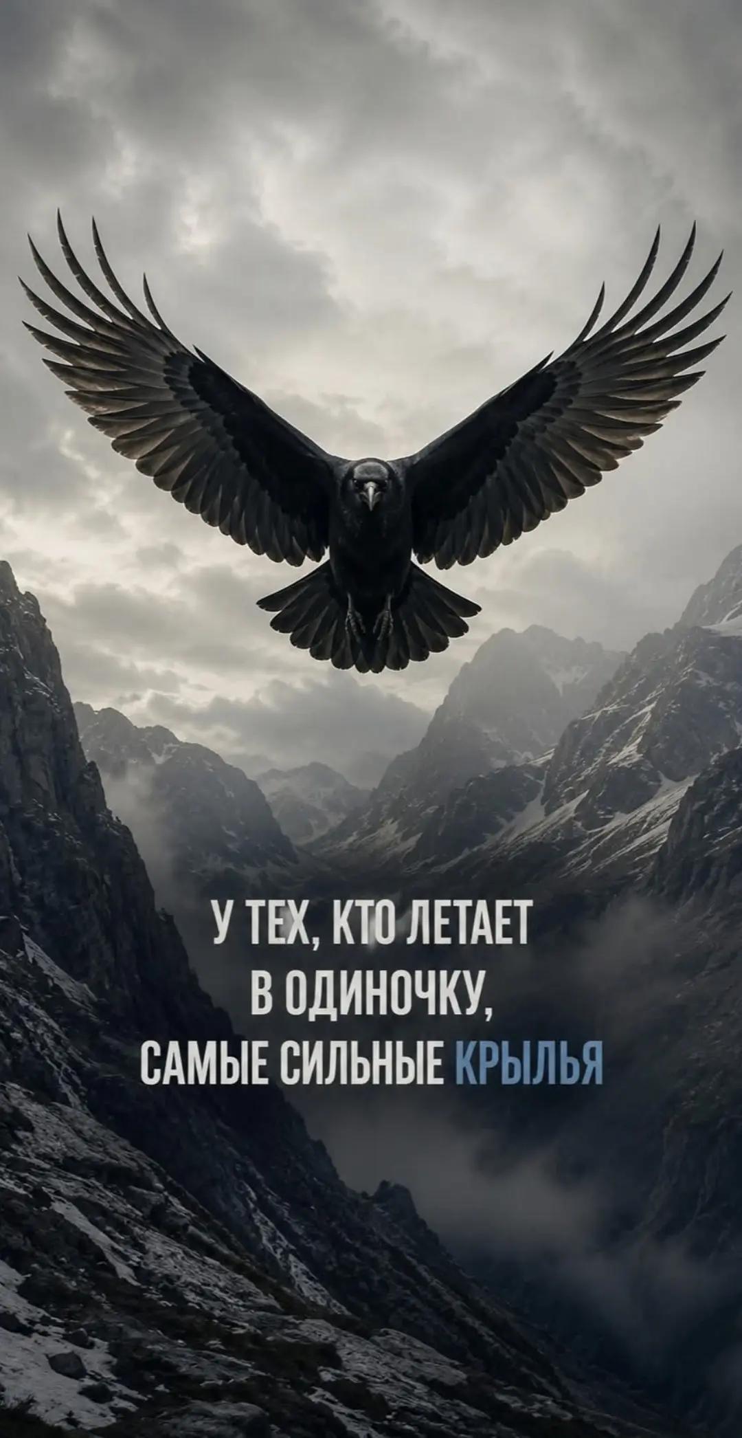 @Grigoryan