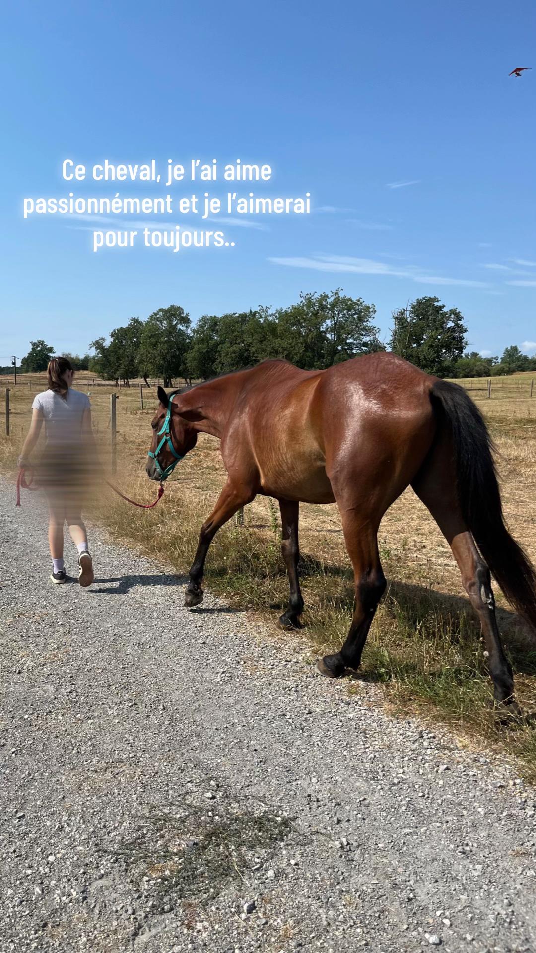 @Thélia