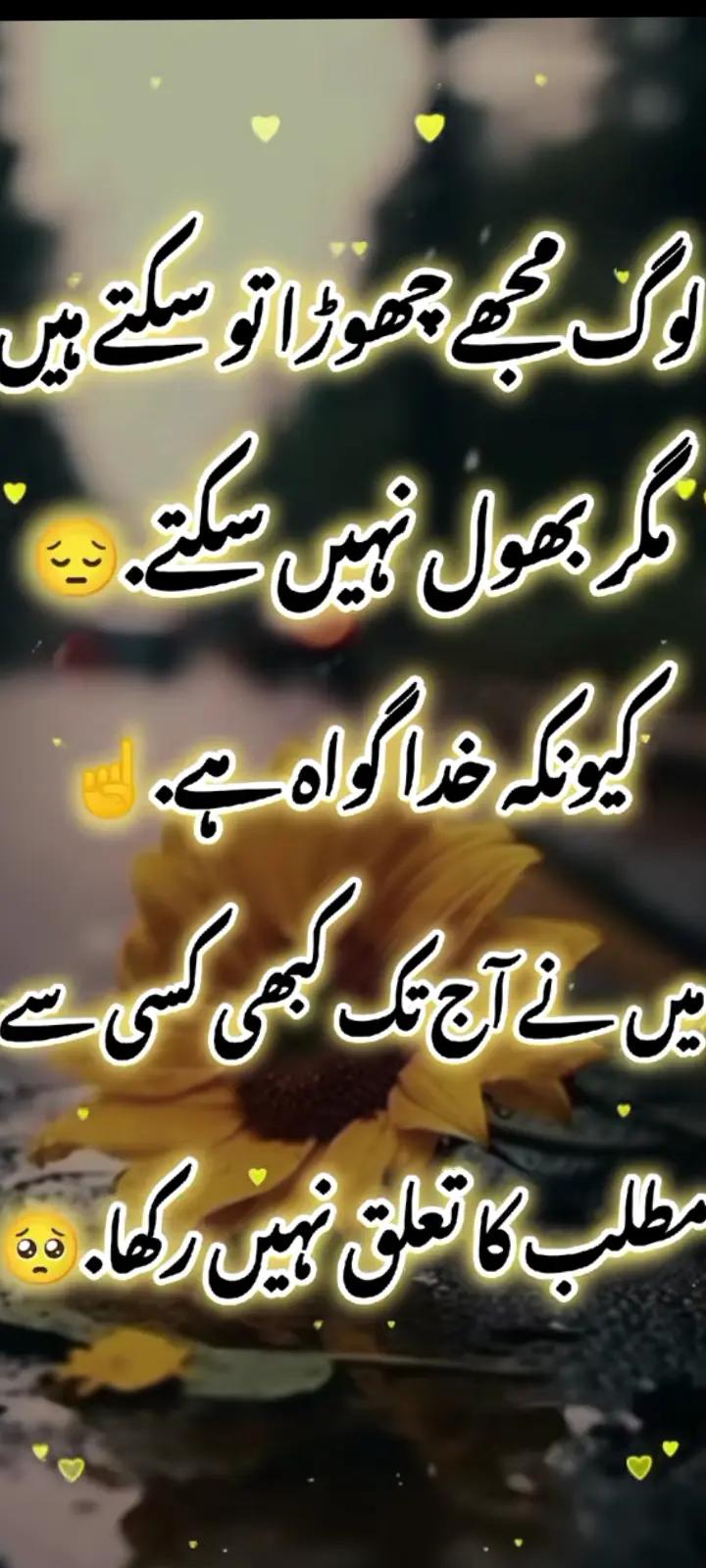 @ariba.bhatti