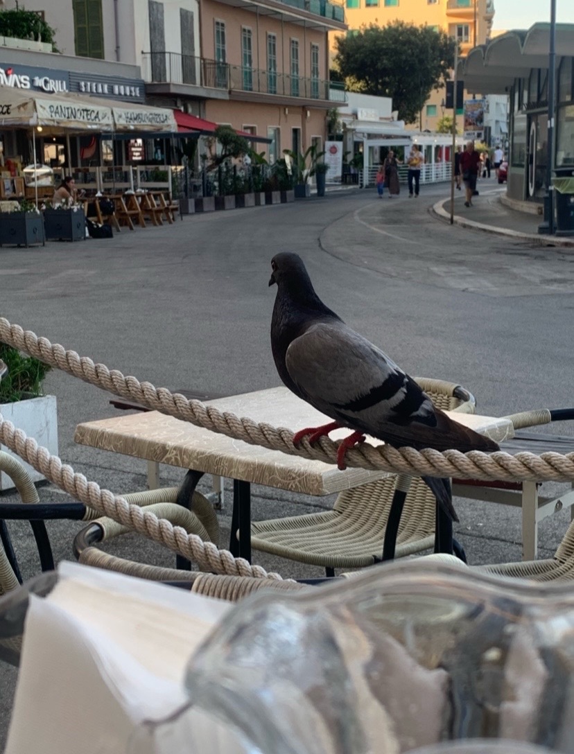 @Lello