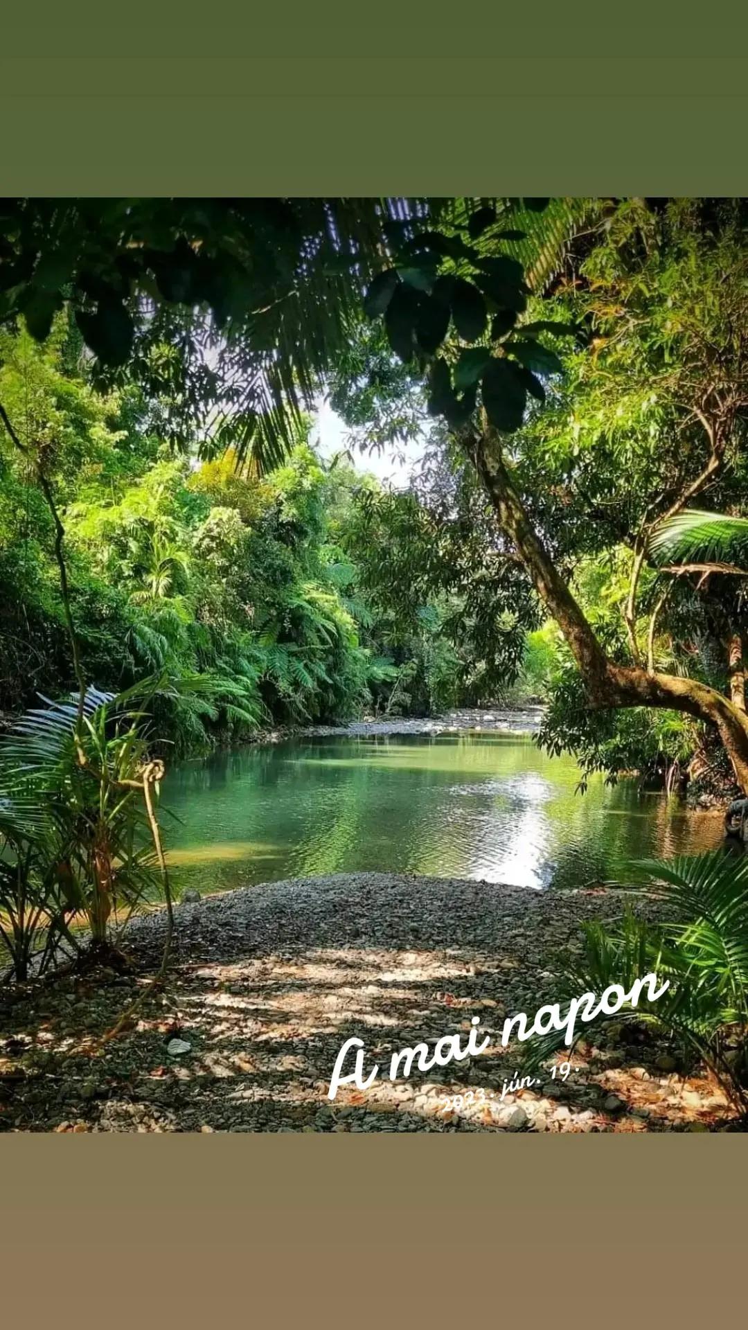 @G&aacute;bor &Aacute;rvai