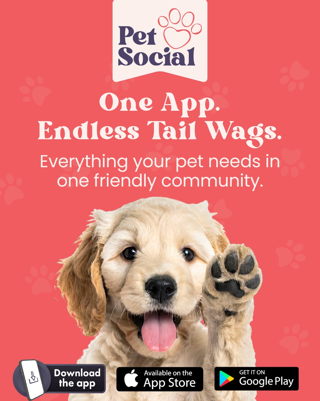 @Pet Social UK