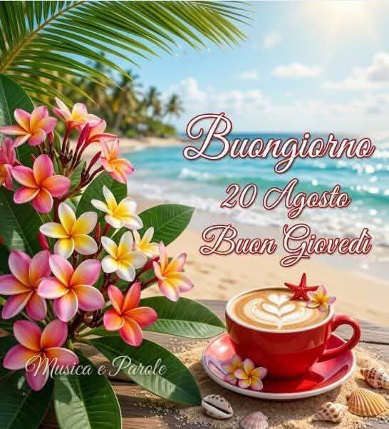 @Emilia d'avino