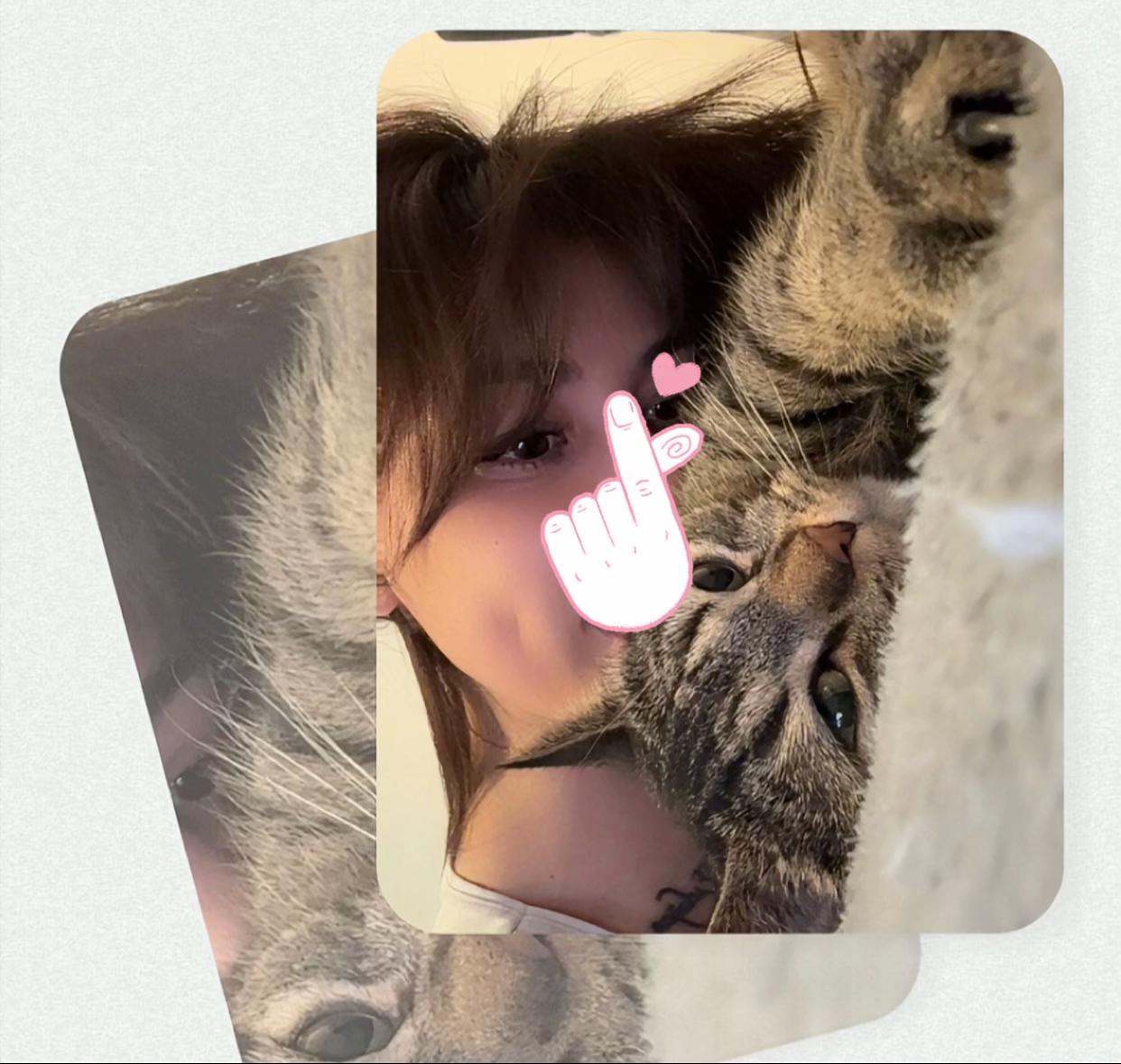 @🐾MILKAM🖤WHISKEYM🩶🐾A❤️🫂