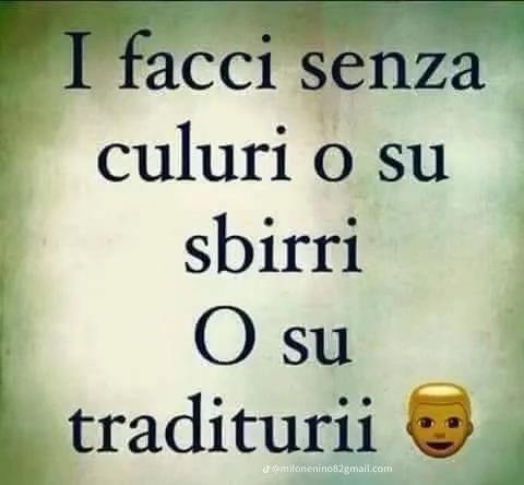 @vivilavita79