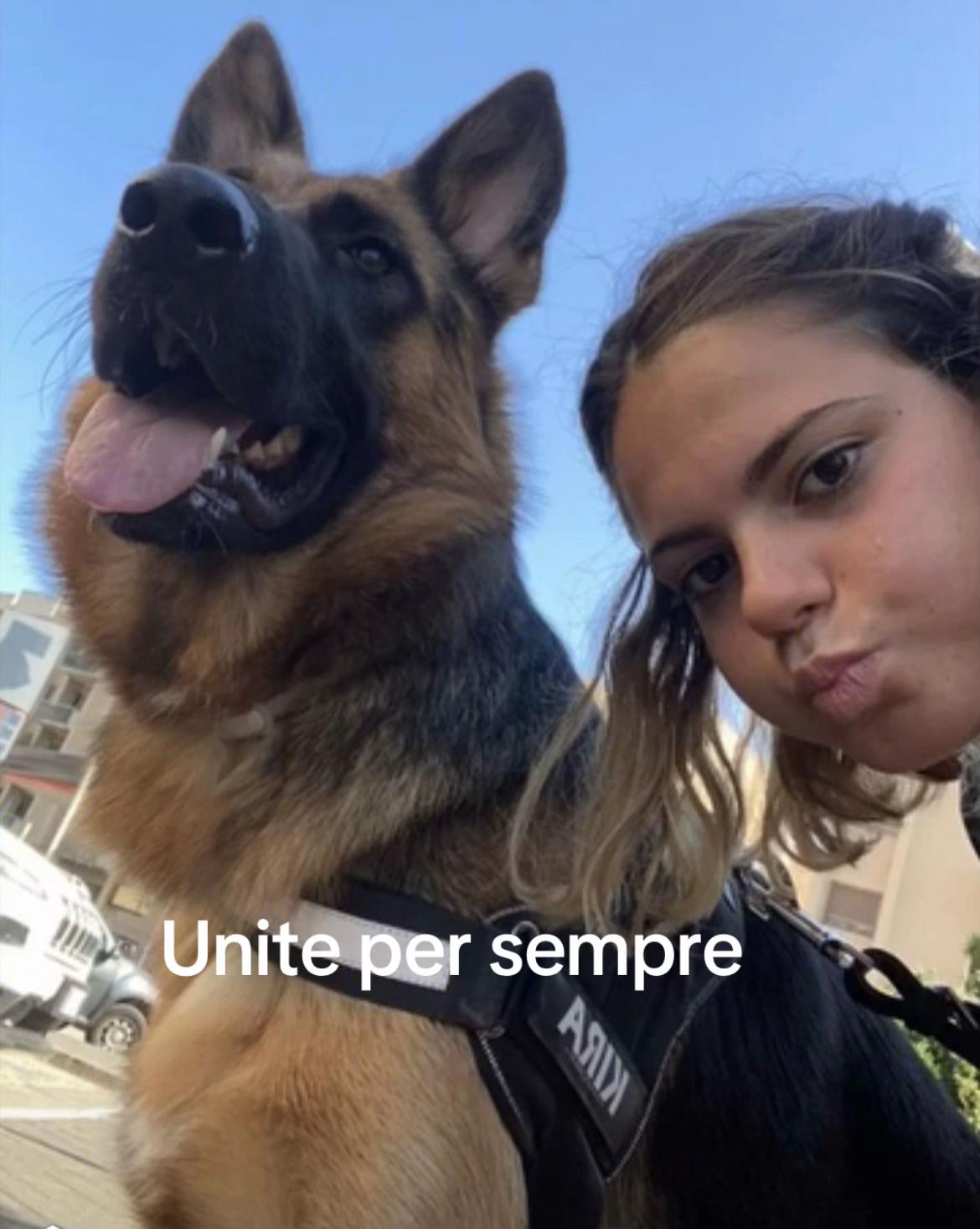 @luigibracciante
