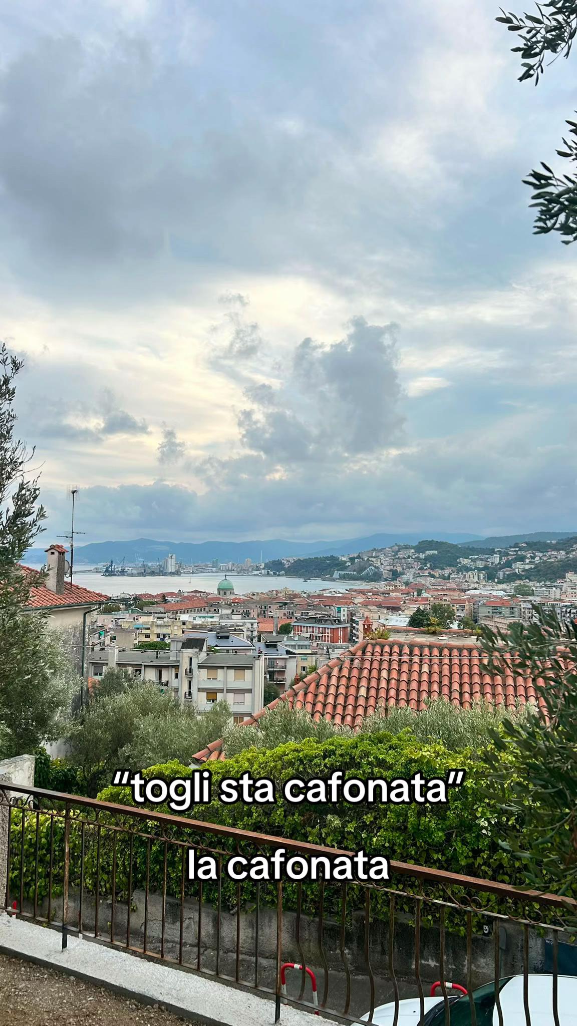 @DOMINIC.DIBELLA