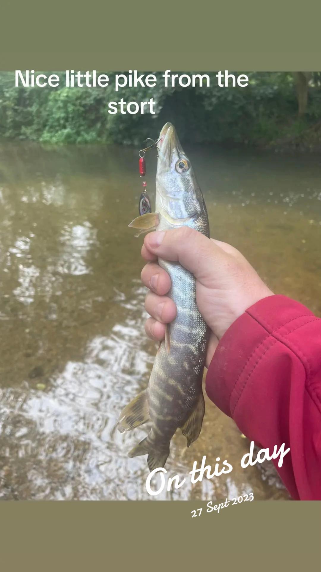 @Mental elf fishin