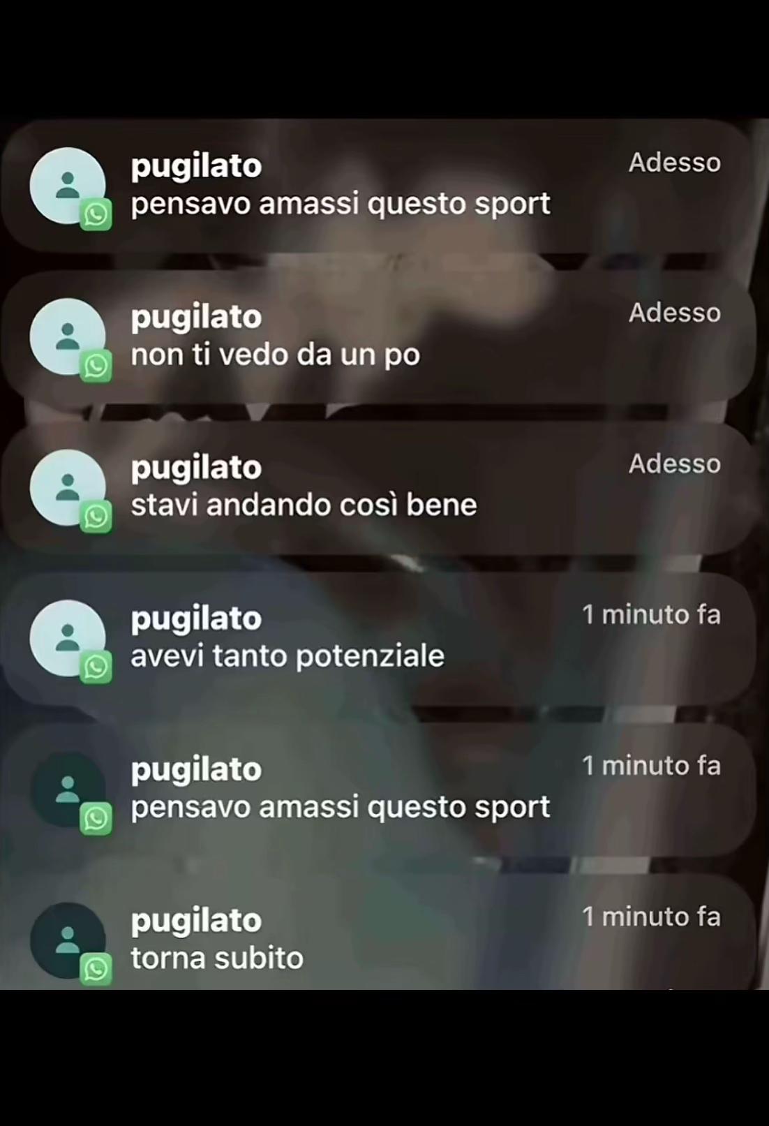 @Giacomo🦁