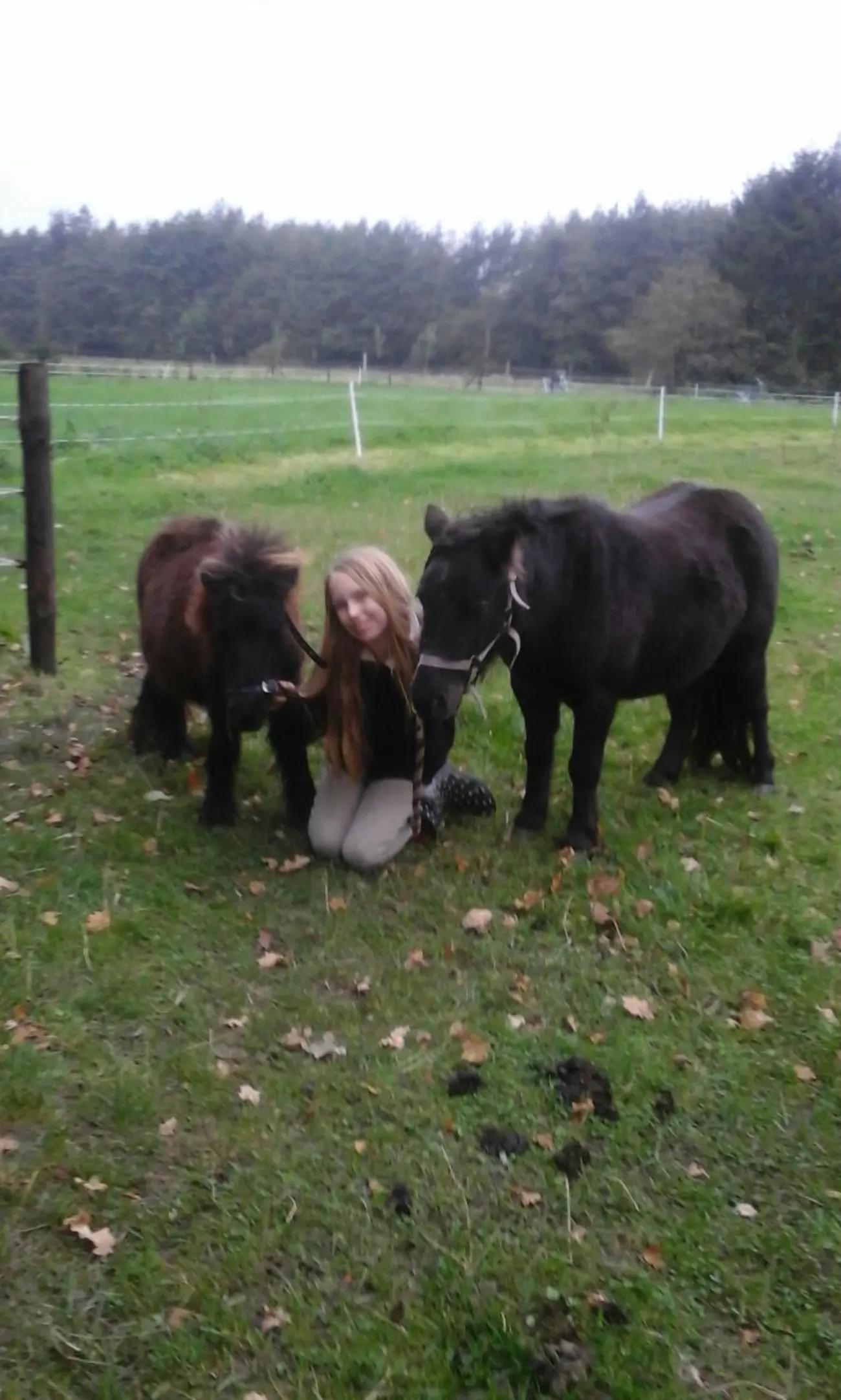 @the fanny's ranch (nsps)