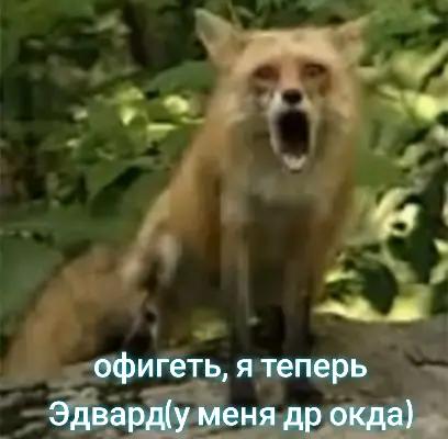 @Клеще-Септ