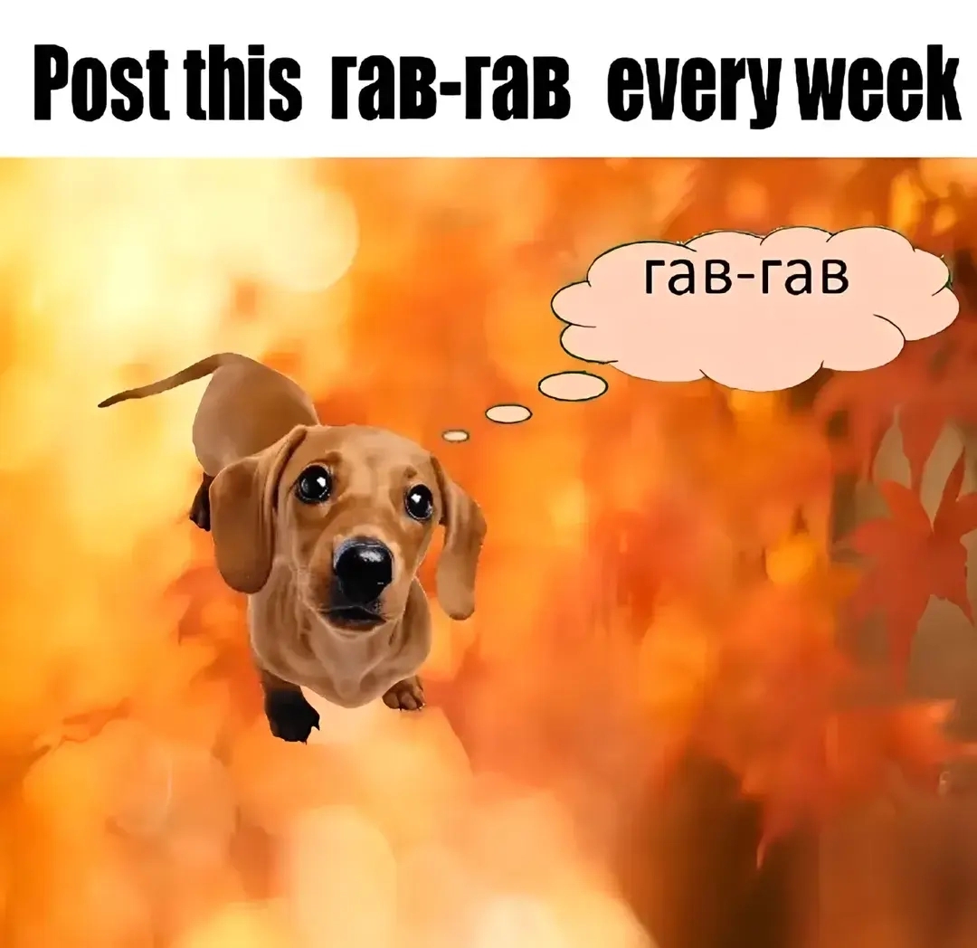 @(–_–;)