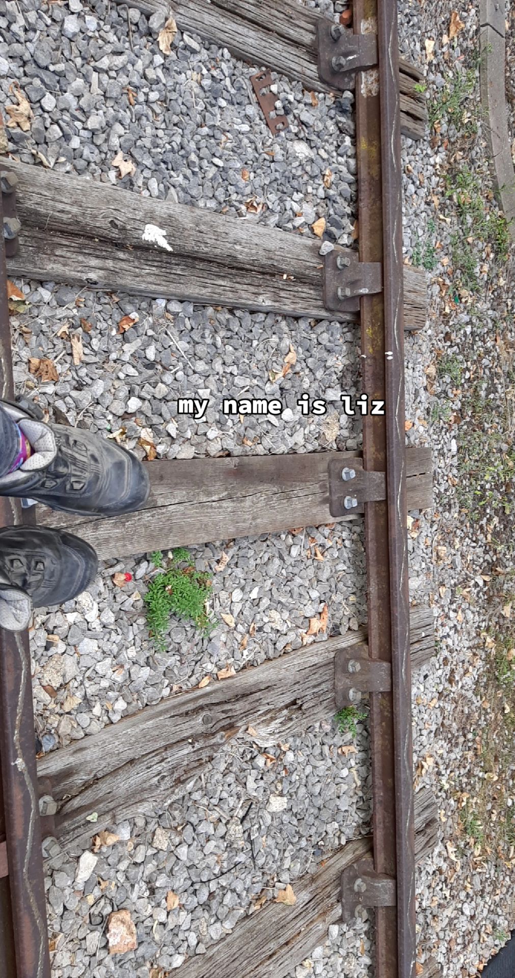 @LIZ🌱🗡🚦