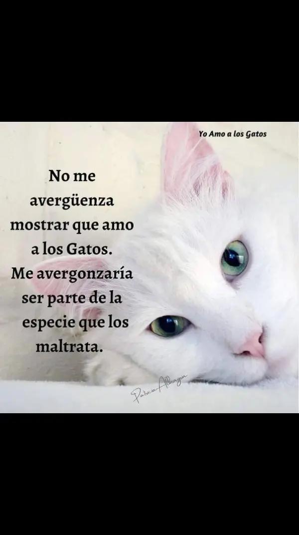 @Vero Roig