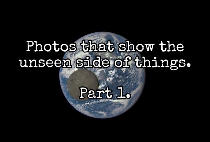 @randomamazingfunfacts