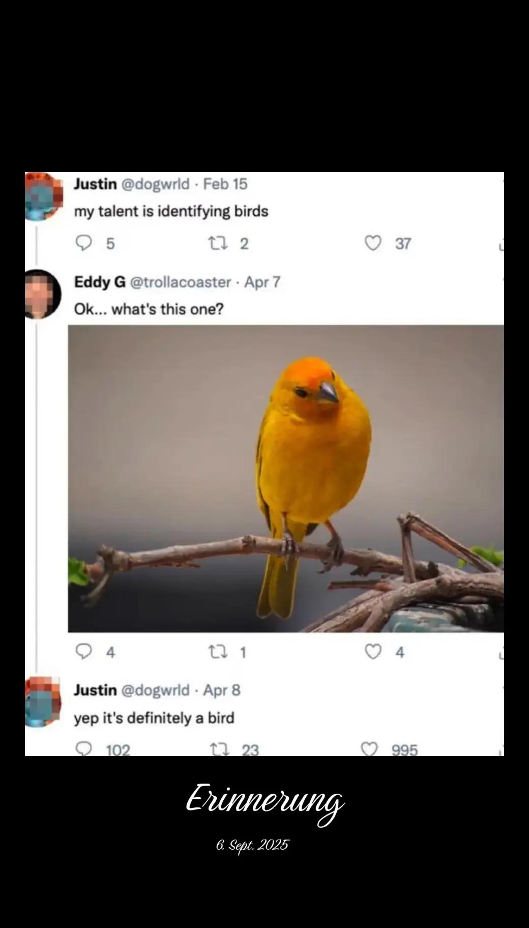 @🅼🅴🅼🅴 🆃🅷🅸🅴🅵