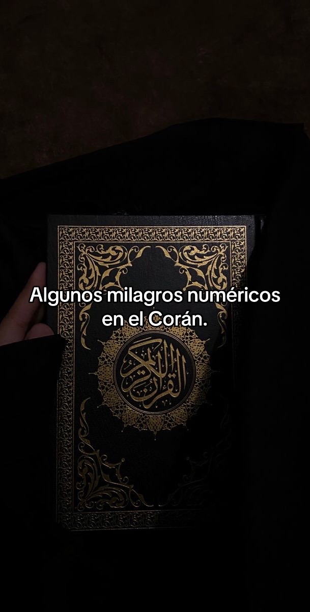 @shaimitahb