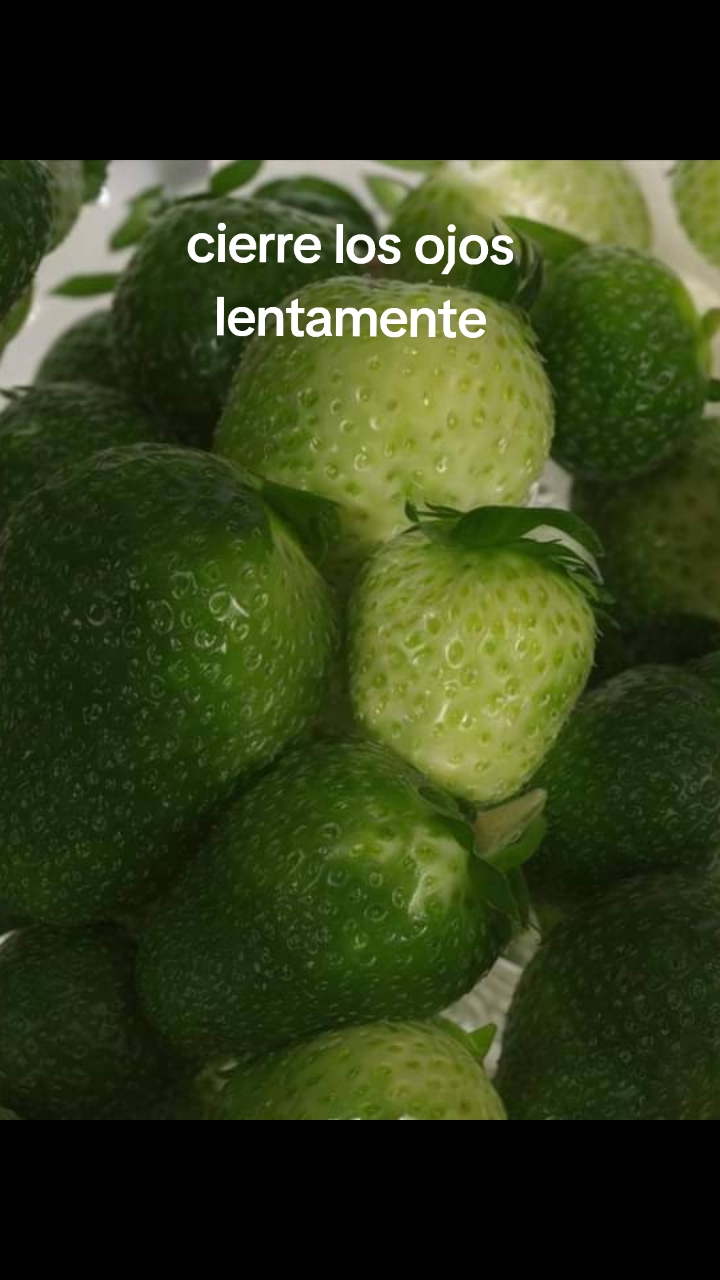 @leiaestrela30