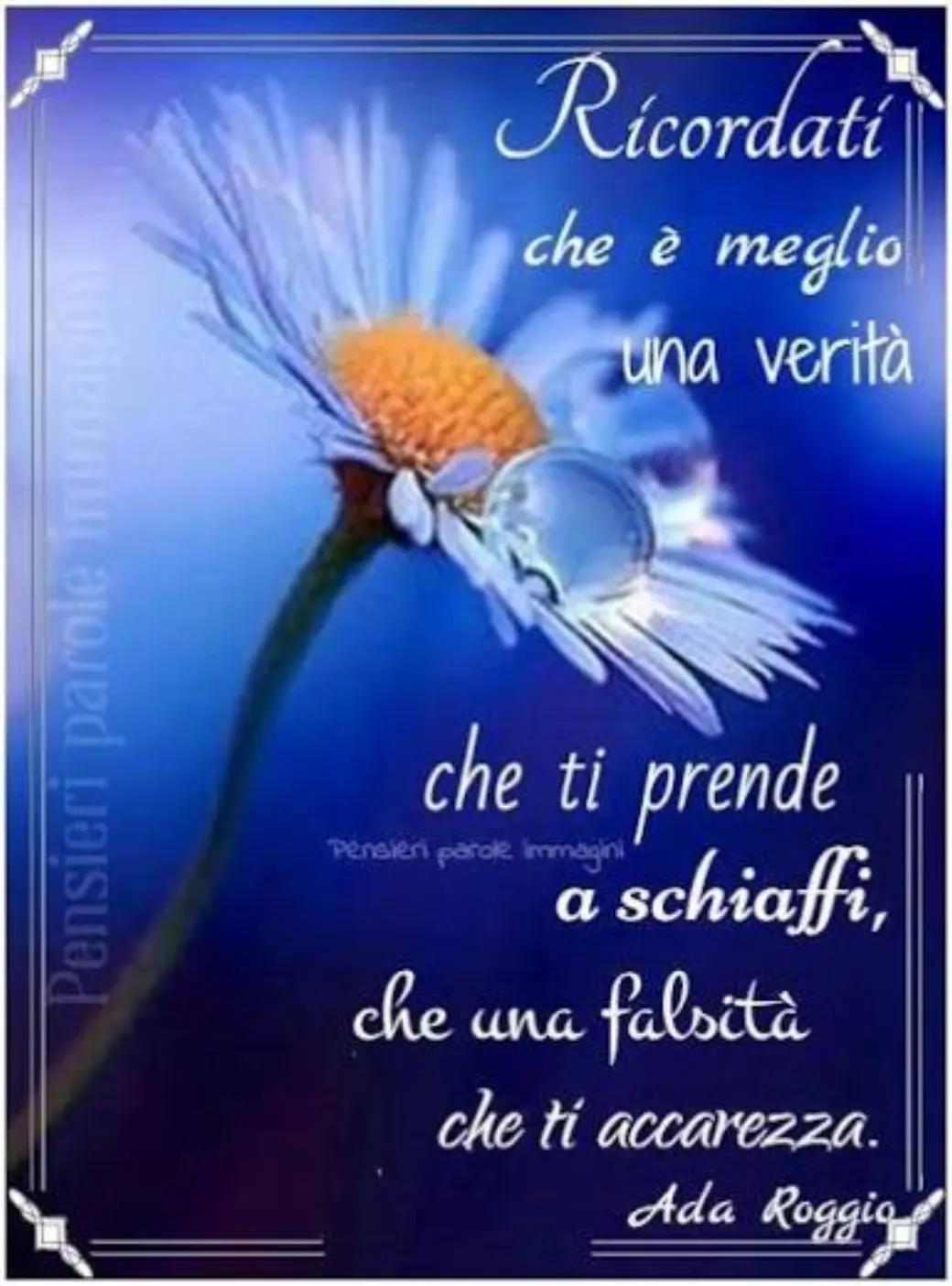@Ninoilcamionistasiciliano🚛