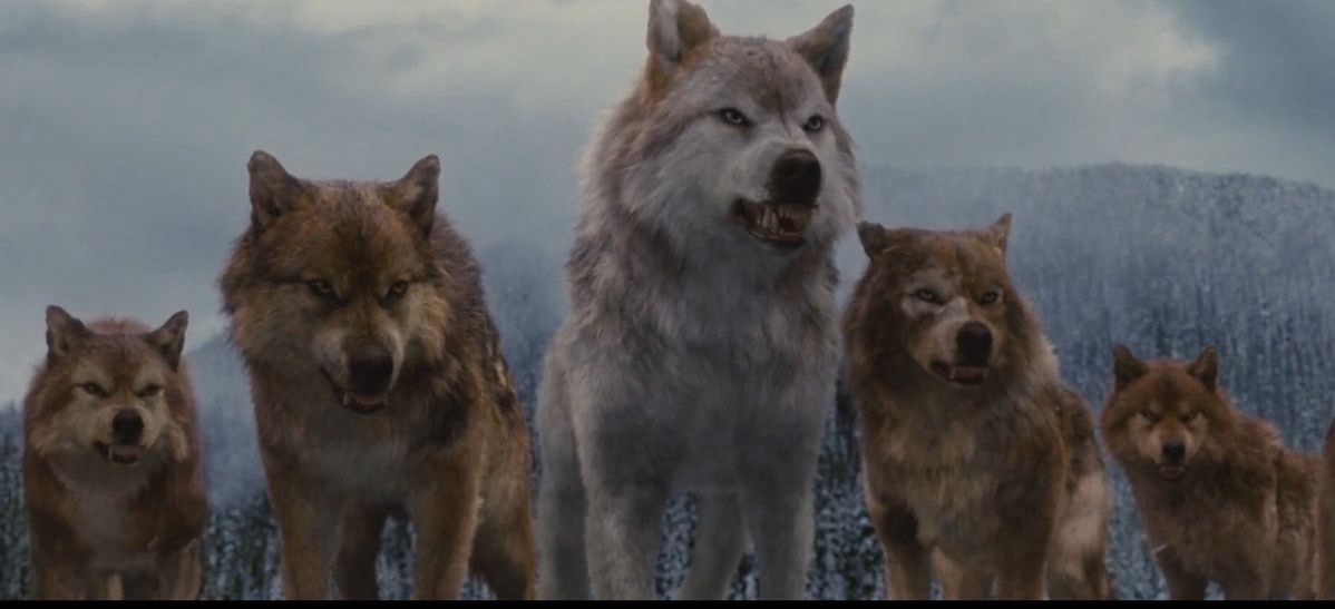 @she wolf