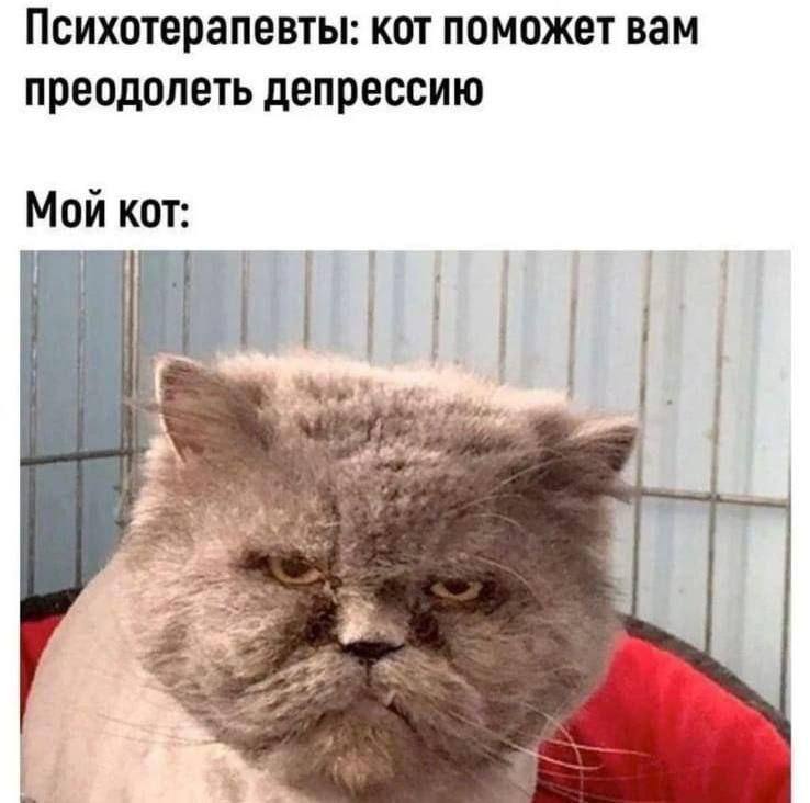 @🇷🇺anysiaspivak🇷🇺☦️