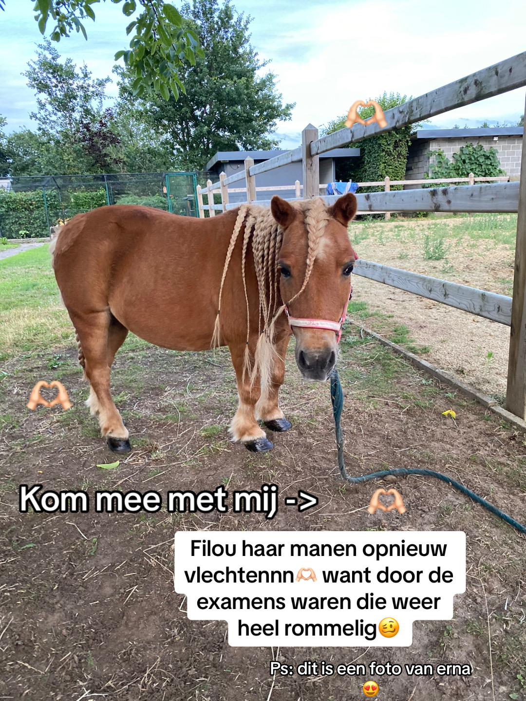 @Anouk Heylen