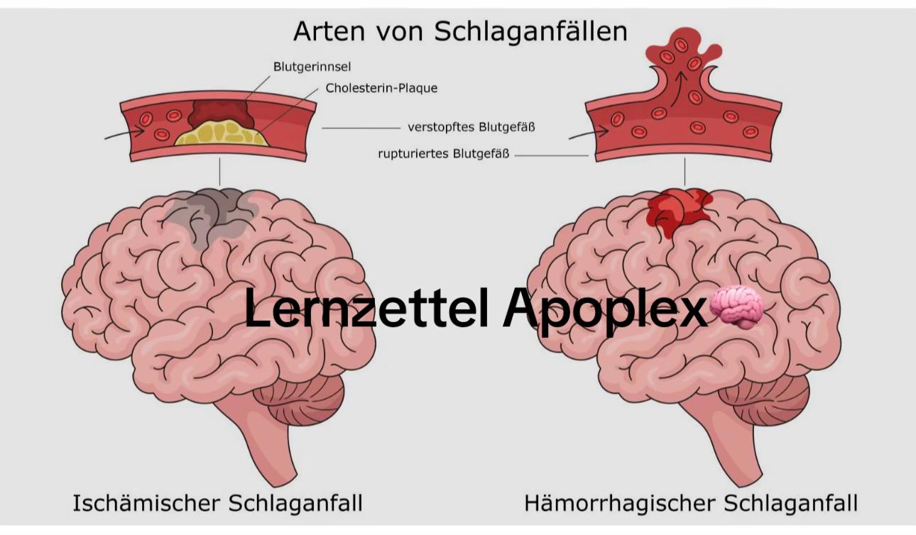 @pflegemaus