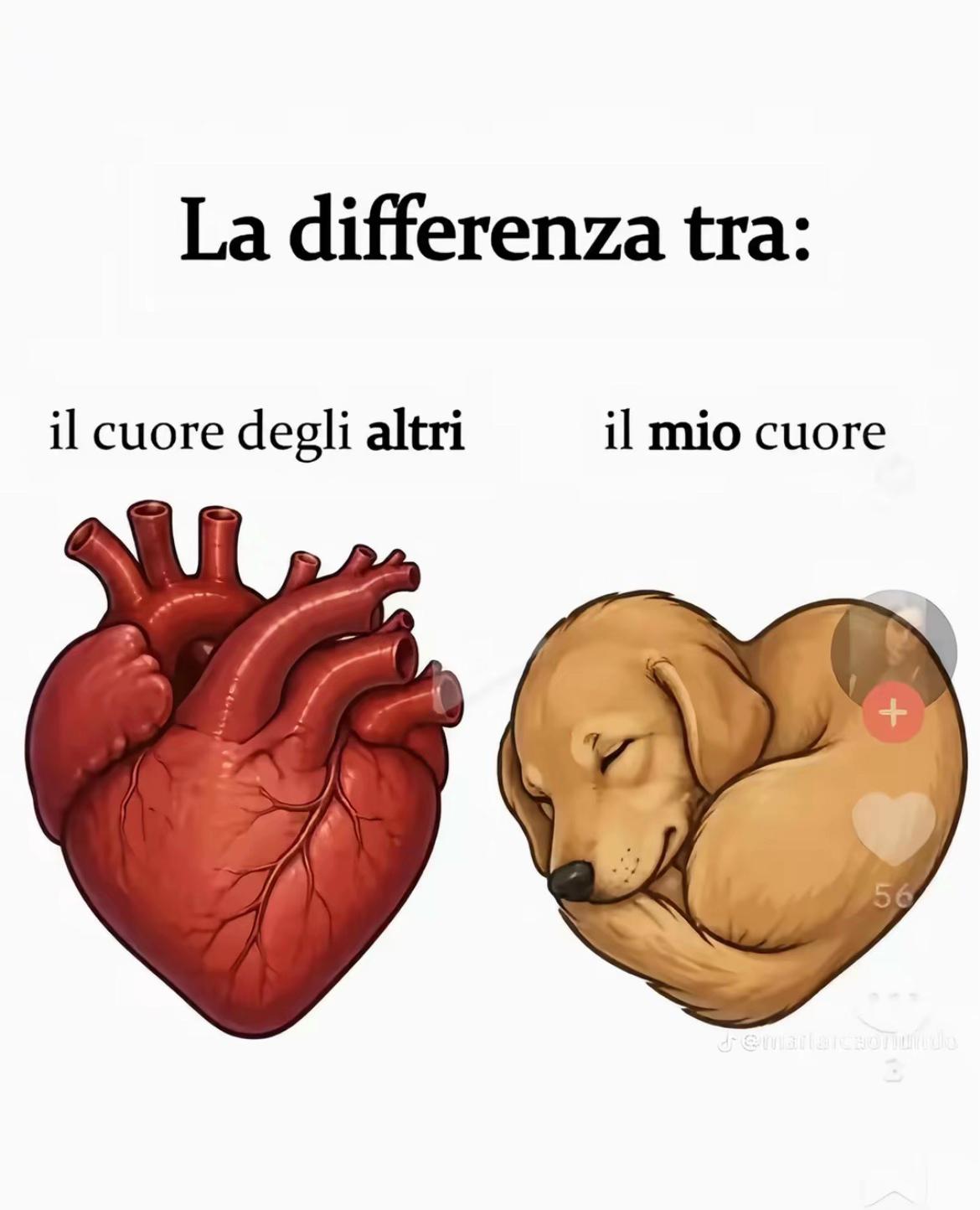 @Faby&Kira🐶❤️👩🏼