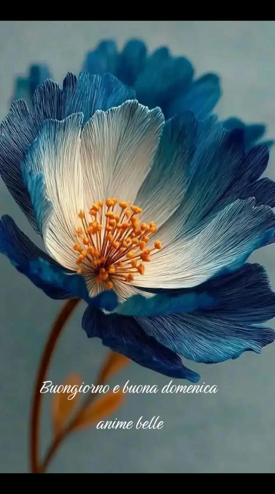 @iocisonosempre♥️