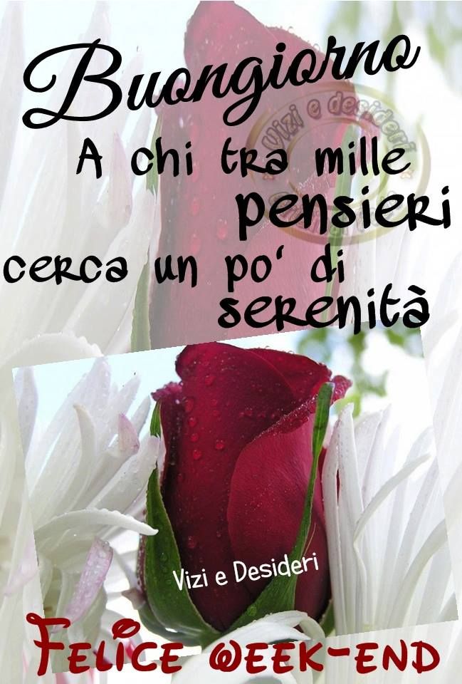 @Patrizia siesto