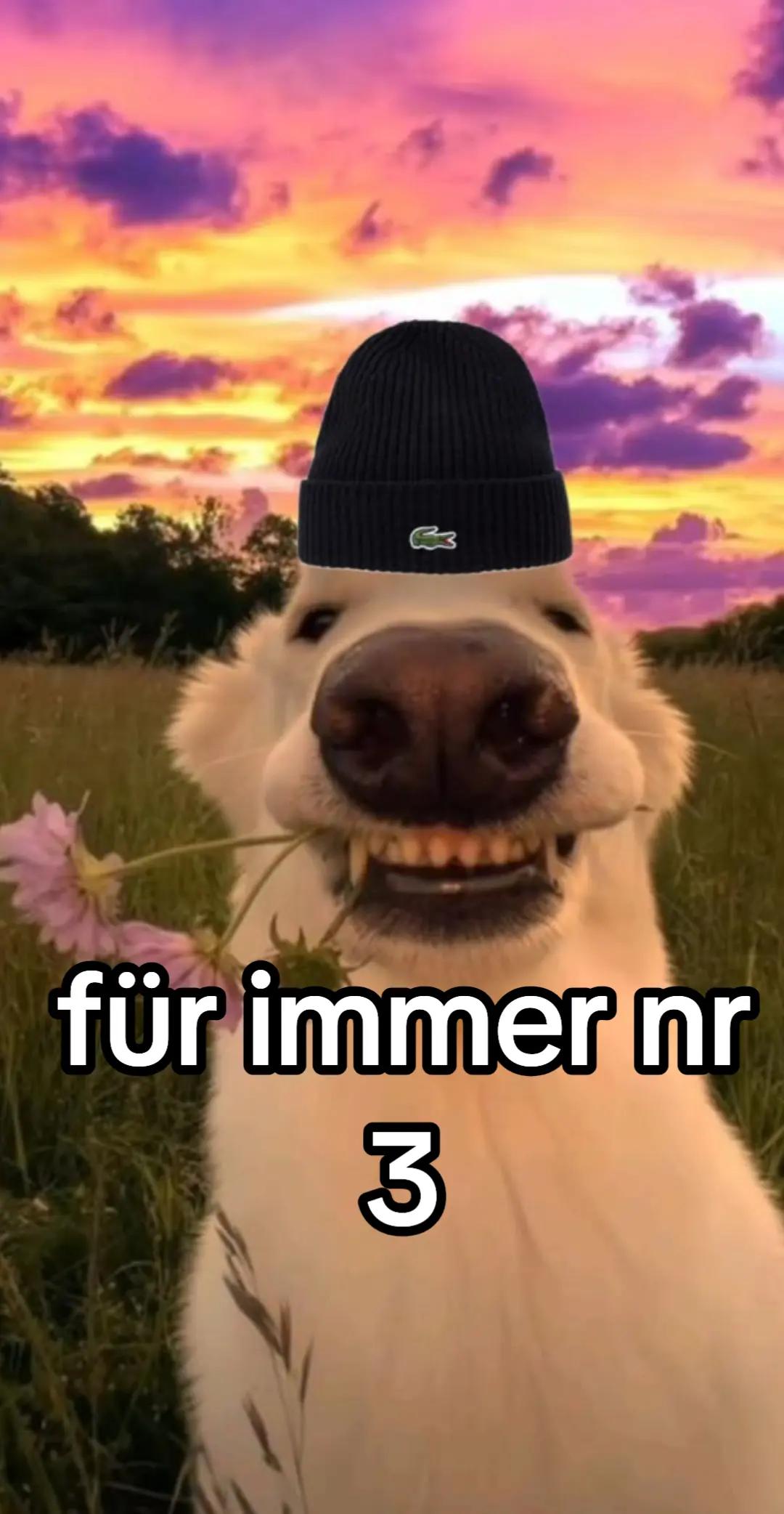 @Mäusen