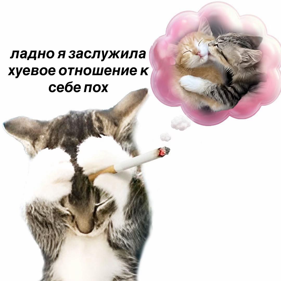 @тимофей го встр