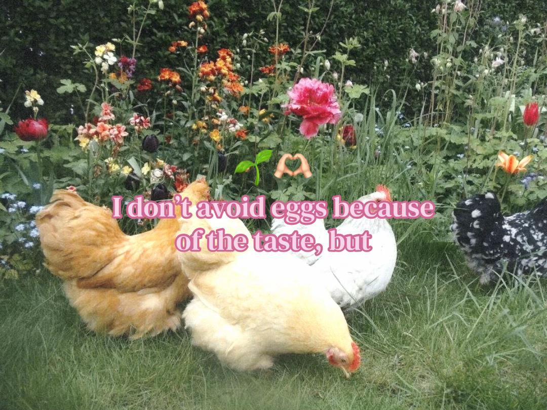 @₊˚⊹♡🧘🏼&zwj;♀️🌀🌞 ˚｡⋆౨ৎ