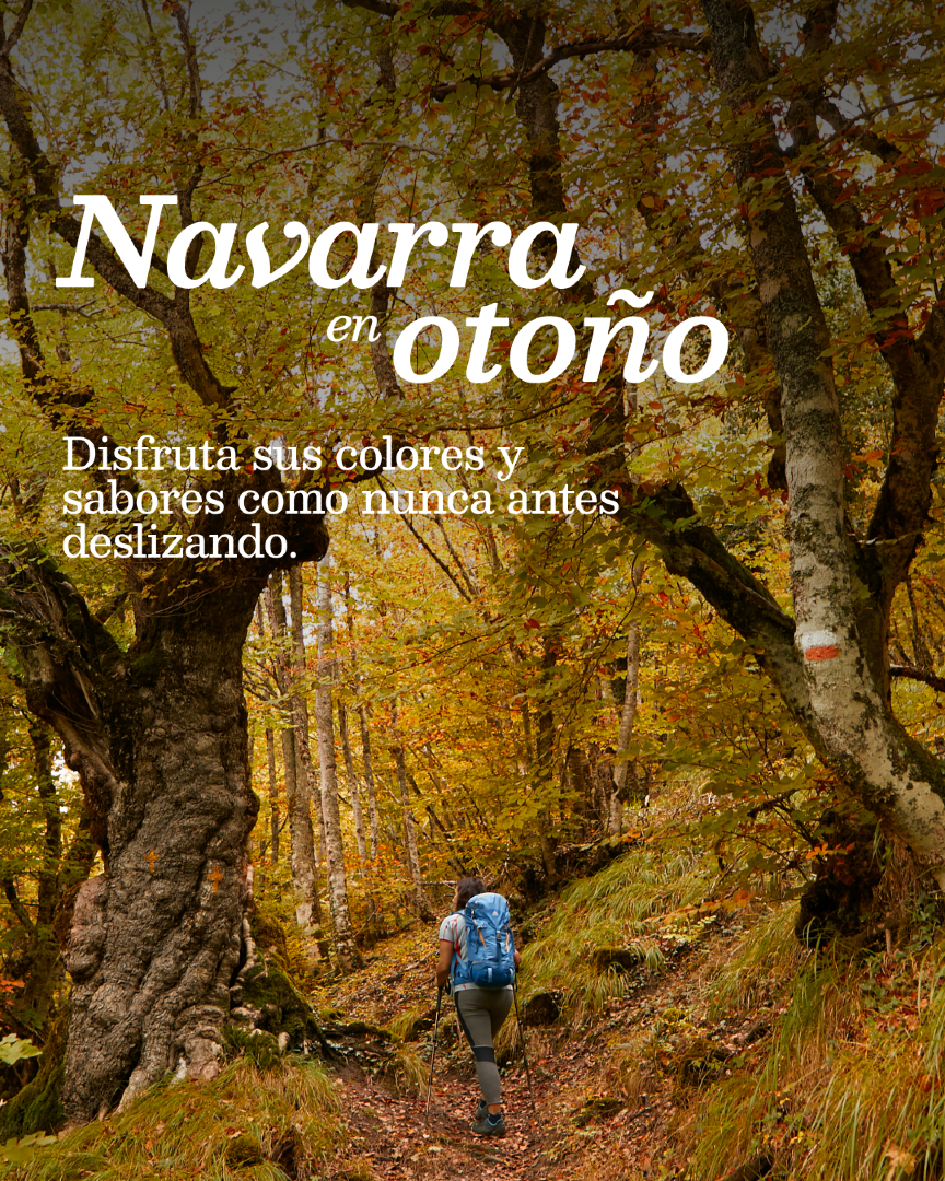 @Visit Navarra