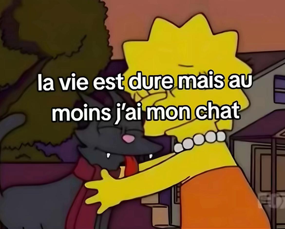 @Djamilia