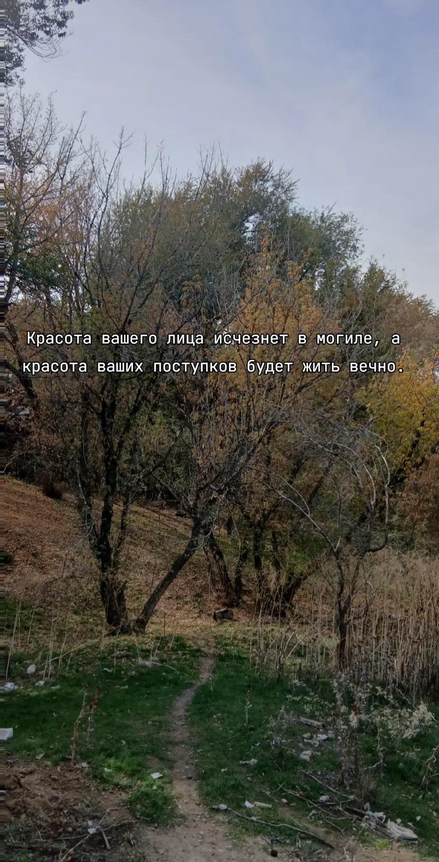 @Al1shkA