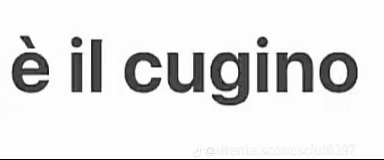 @greis urso 👸