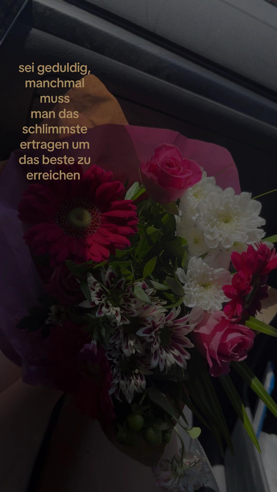 @๐ฎ๐ฌ๐๐ซ๐ซ_๐ฅ’๐ชผ