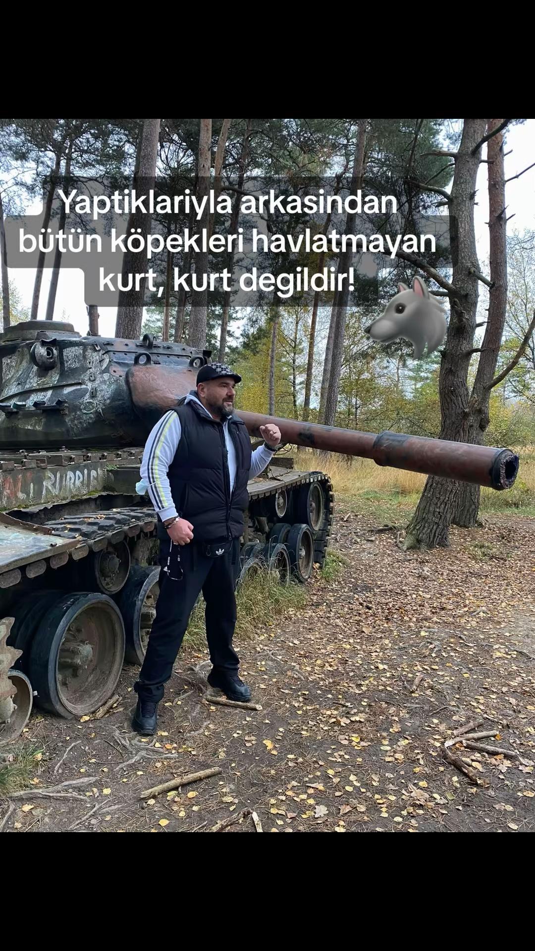 @dilavereryilmaz